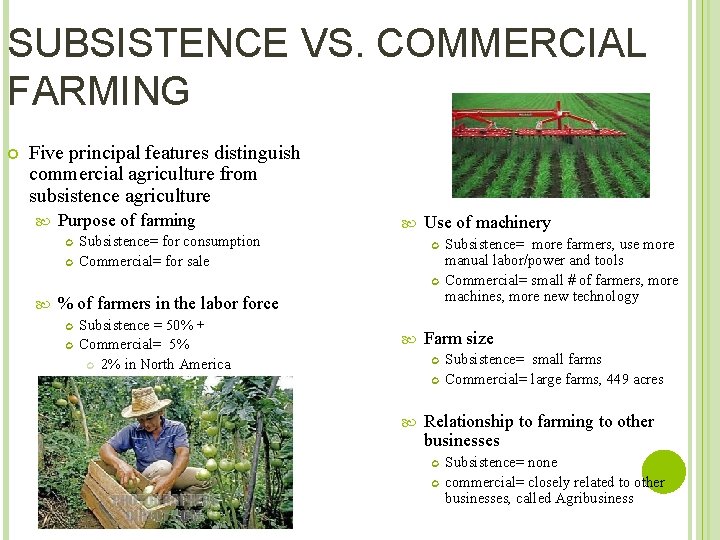 SUBSISTENCE VS. COMMERCIAL FARMING Five principal features distinguish commercial agriculture from subsistence agriculture Purpose