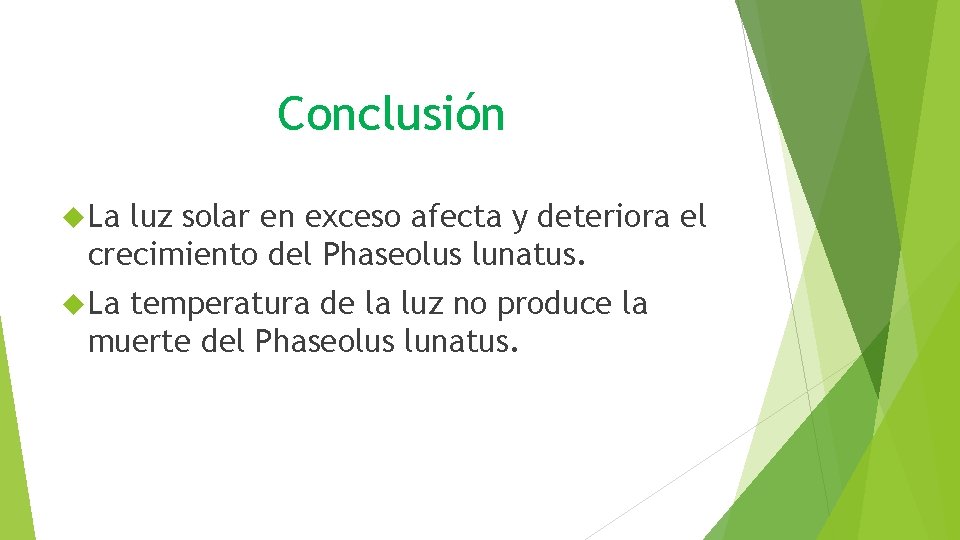 Conclusión La luz solar en exceso afecta y deteriora el crecimiento del Phaseolus lunatus.