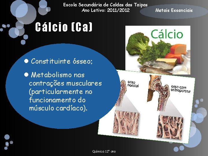Escola Secundária de Caldas Taipas Ano Letivo: 2011/2012 Cálcio (Ca) Constituinte ósseo; Metabolismo nas
