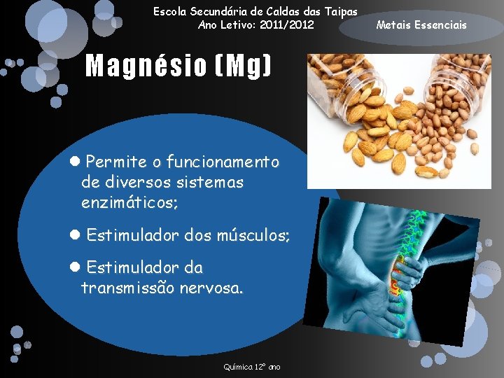 Escola Secundária de Caldas Taipas Ano Letivo: 2011/2012 Magnésio (Mg) Permite o funcionamento de