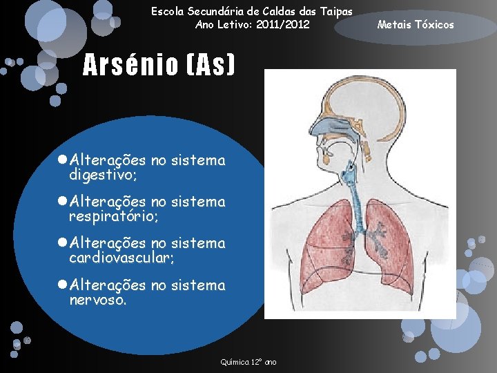 Escola Secundária de Caldas Taipas Ano Letivo: 2011/2012 Arsénio (As) Alterações no sistema digestivo;