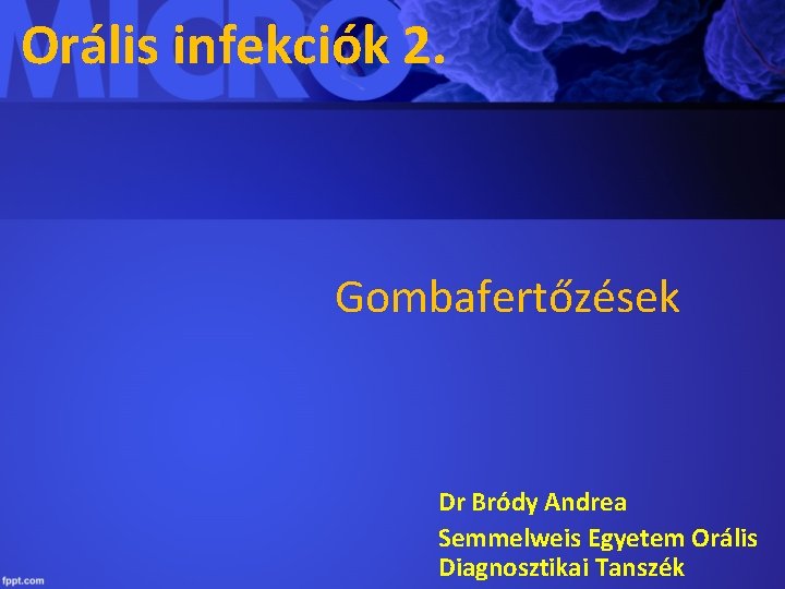 Orális infekciók 2. Gombafertőzések Dr Bródy Andrea Semmelweis Egyetem Orális Diagnosztikai Tanszék 