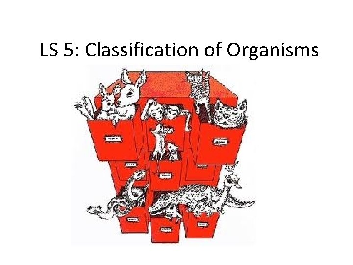 LS 5: Classification of Organisms 