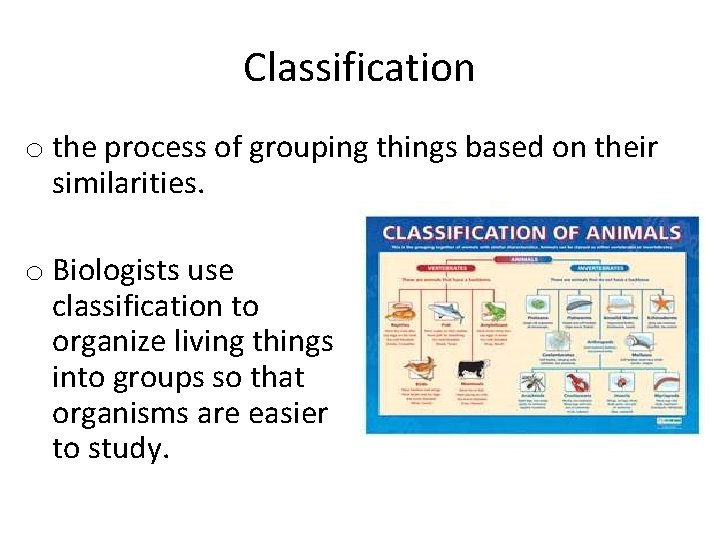 Classification o the process of grouping things based on their similarities. o Biologists use