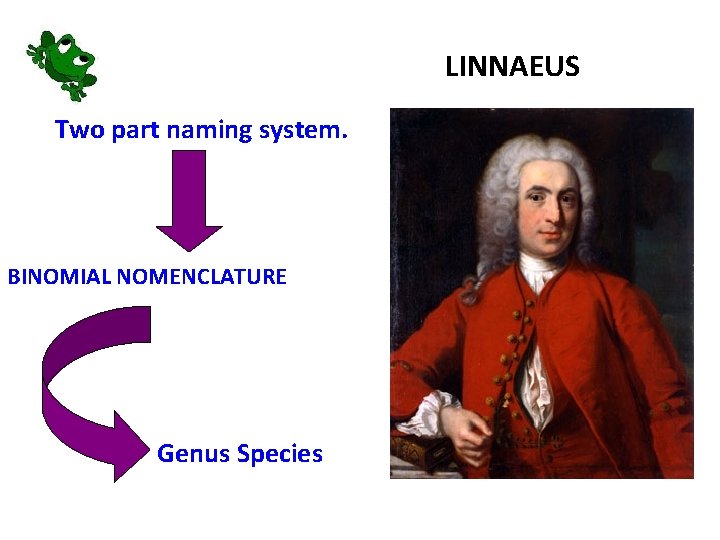 LINNAEUS Two part naming system. BINOMIAL NOMENCLATURE Genus Species 