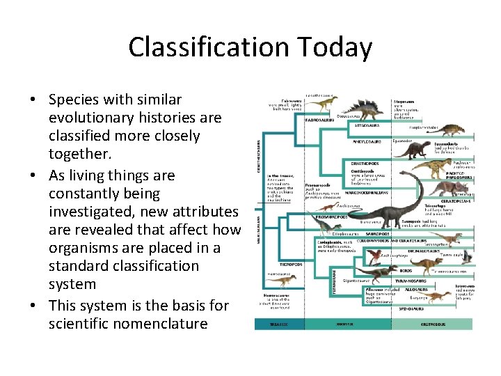 Classification Today • Species with similar evolutionary histories are classified more closely together. •