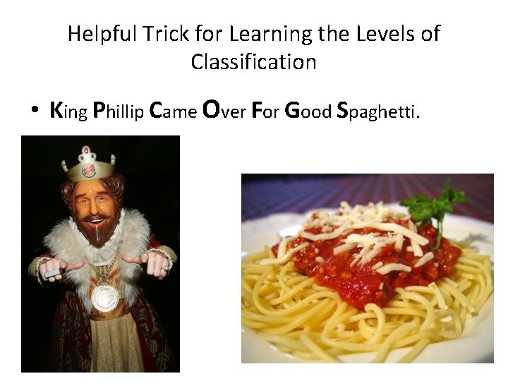 Helpful Trick for Learning the Levels of Classification • King Phillip Came Over For