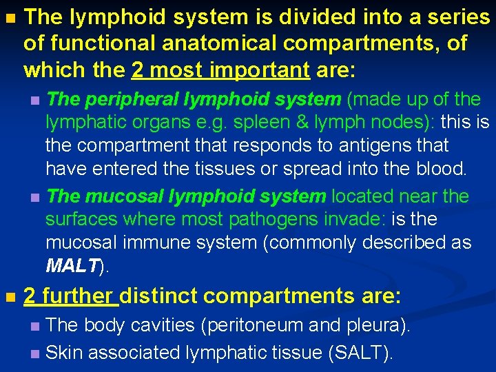n The lymphoid system is divided into a series of functional anatomical compartments, of