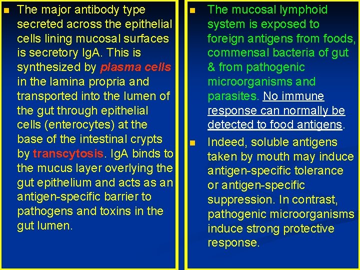 n The major antibody type secreted across the epithelial cells lining mucosal surfaces is