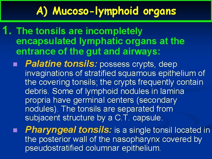 A) Mucoso-lymphoid organs 1. The tonsils are incompletely encapsulated lymphatic organs at the entrance