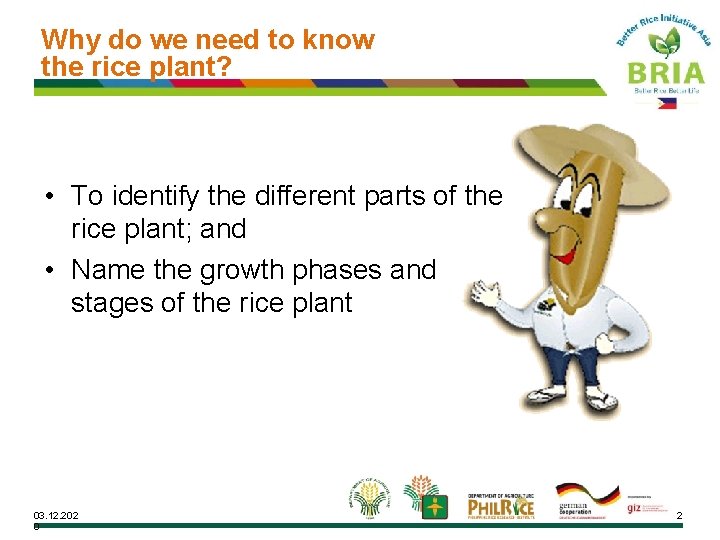 Why do we need to know the rice plant? • To identify the different