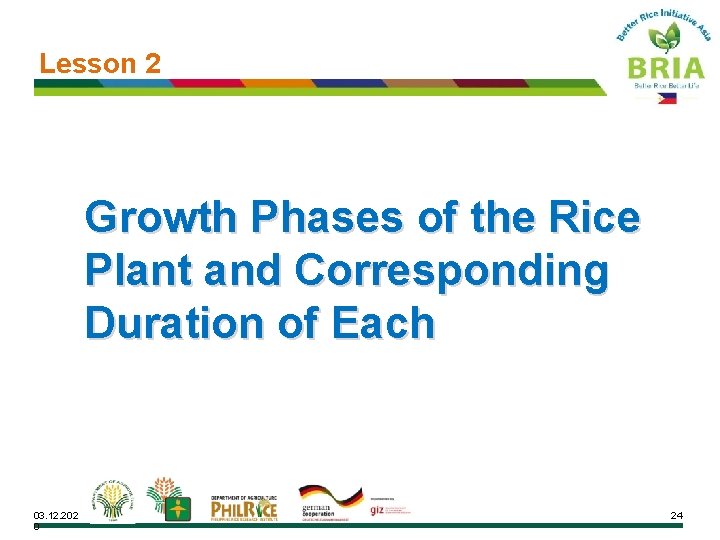 Lesson 2 Growth Phases of the Rice Plant and Corresponding Duration of Each 03.