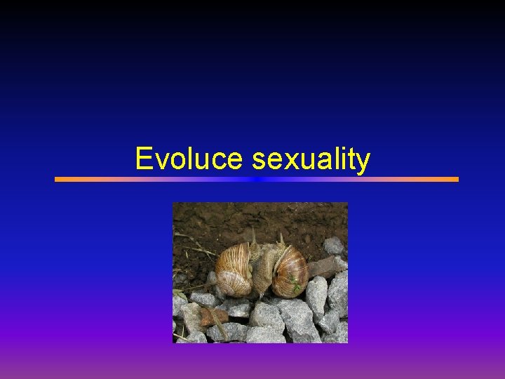 Evoluce sexuality 