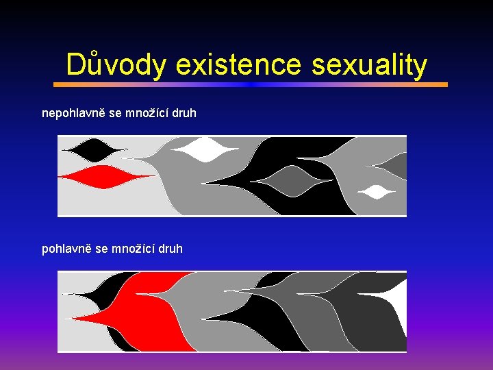 Důvody existence sexuality nepohlavně se množící druh 