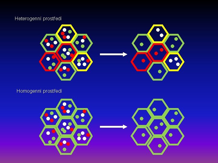 Heterogenní prostředí Homogenní prostředí 