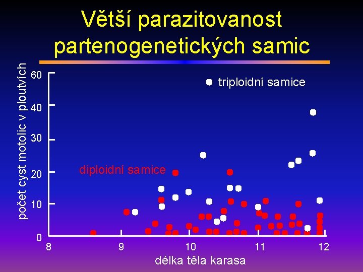 počet cyst motolic v ploutvích Větší parazitovanost partenogenetických samic 60 triploidní samice 40 30