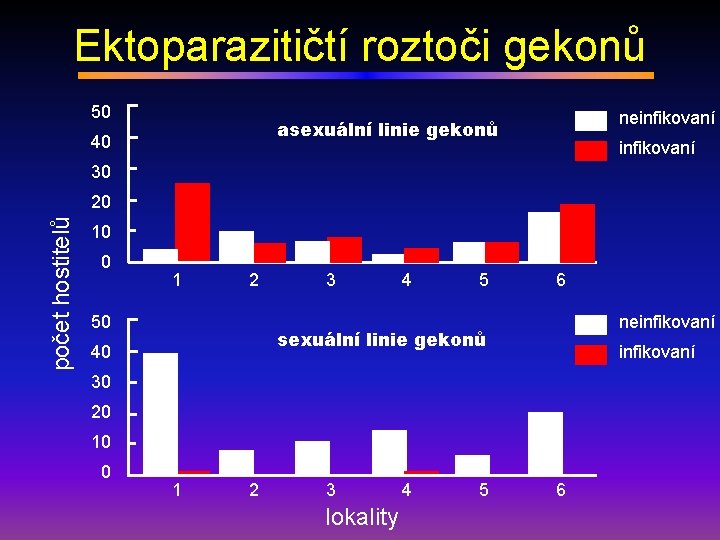 Ektoparazitičtí roztoči gekonů 50 neinfikovaní asexuální linie gekonů 40 infikovaní 30 počet hostitelů 20