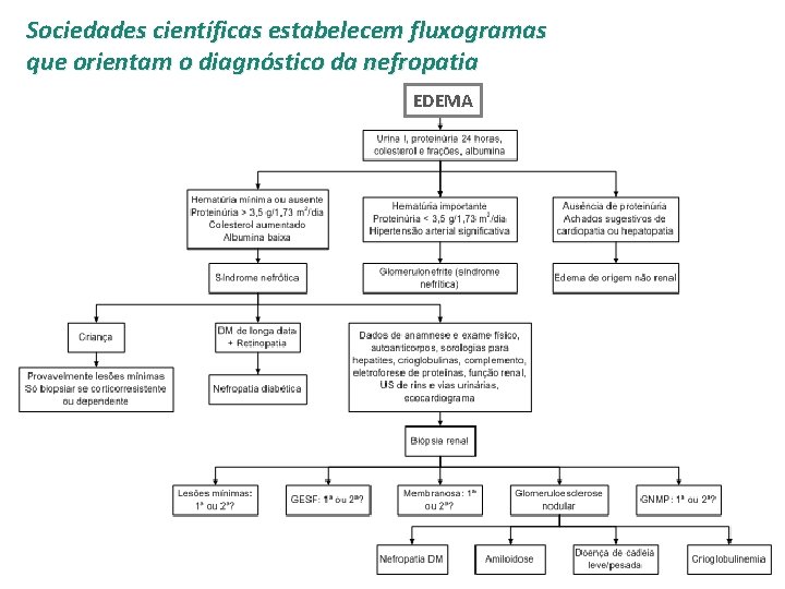 Sociedades científicas estabelecem fluxogramas que orientam o diagnóstico da nefropatia EDEMA 