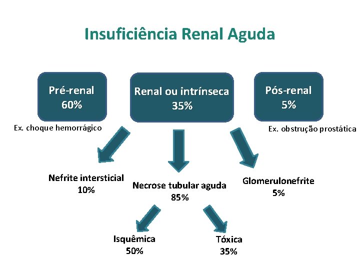 Insuficiência Renal Aguda Pré-renal 60% Pós-renal 5% Renal ou intrínseca 35% Ex. choque hemorrágico