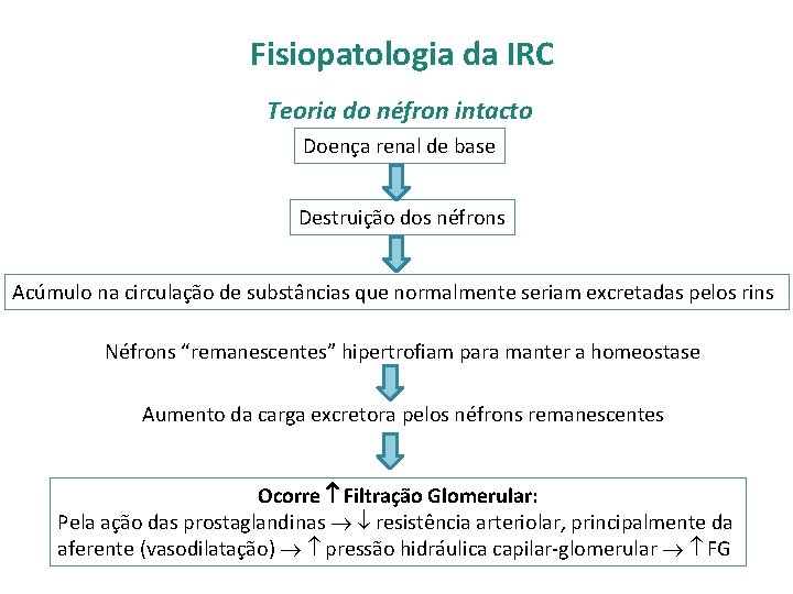 Fisiopatologia da IRC Teoria do néfron intacto Doença renal de base Destruição dos néfrons