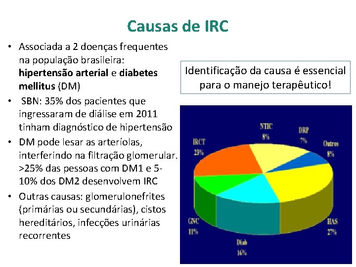 Causas de IRC • Associada a 2 doenças frequentes na população brasileira: Identificação da