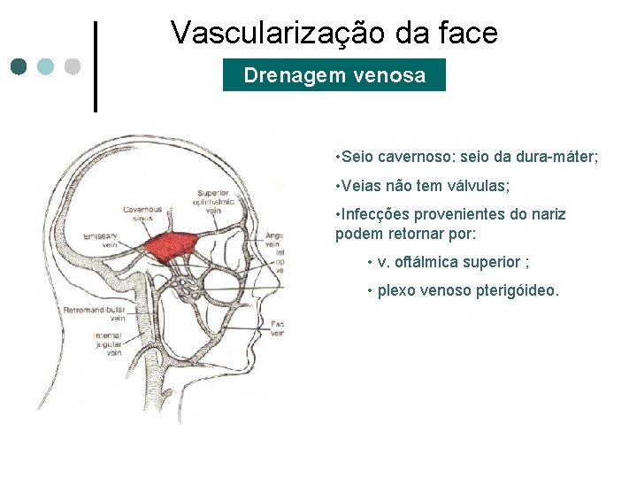 Vascularização da face Drenagem venosa • Seio cavernoso: seio da dura-máter; • Veias não
