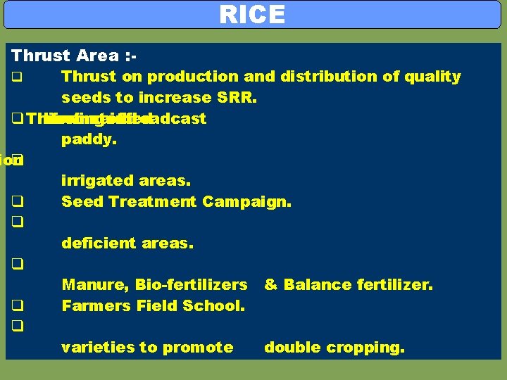 RICE Thrust Area : - Thrust on production and distribution of quality seeds to