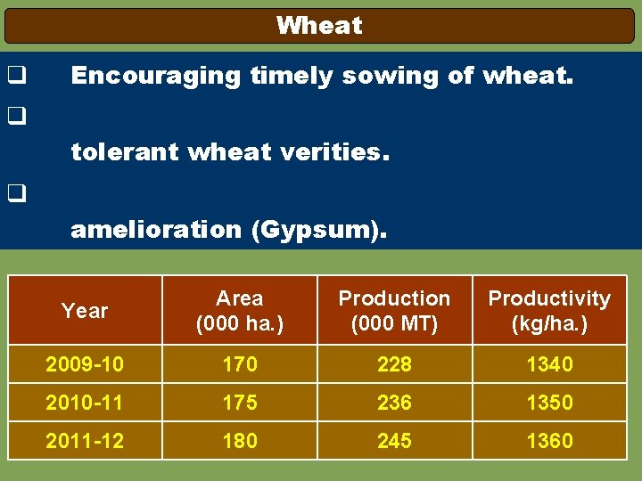 Wheat q Encouraging timely sowing of wheat. q tolerant wheat verities. q amelioration (Gypsum).