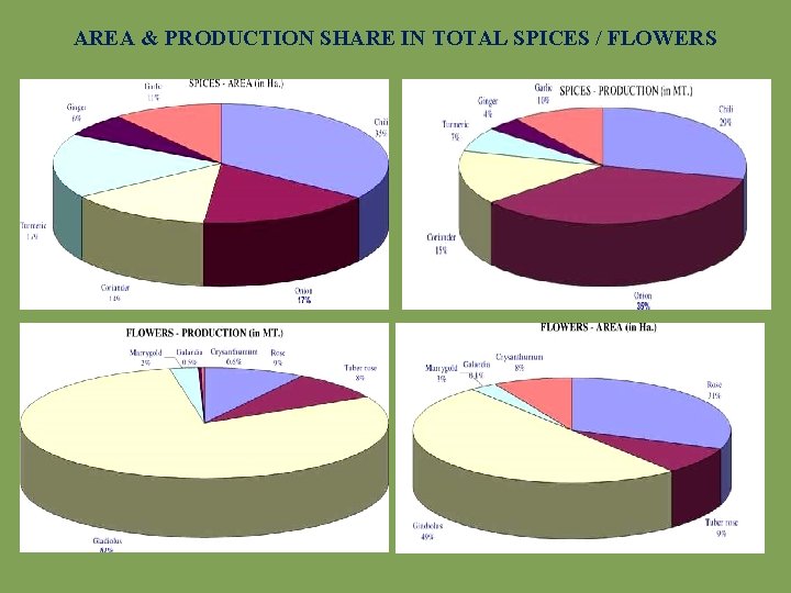 AREA & PRODUCTION SHARE IN TOTAL SPICES / FLOWERS 