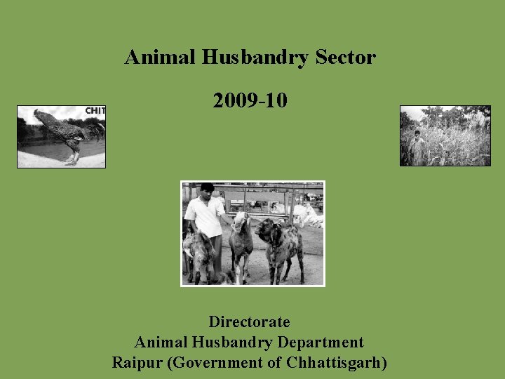Animal Husbandry Sector 2009 -10 Directorate Animal Husbandry Department Raipur (Government of Chhattisgarh) 