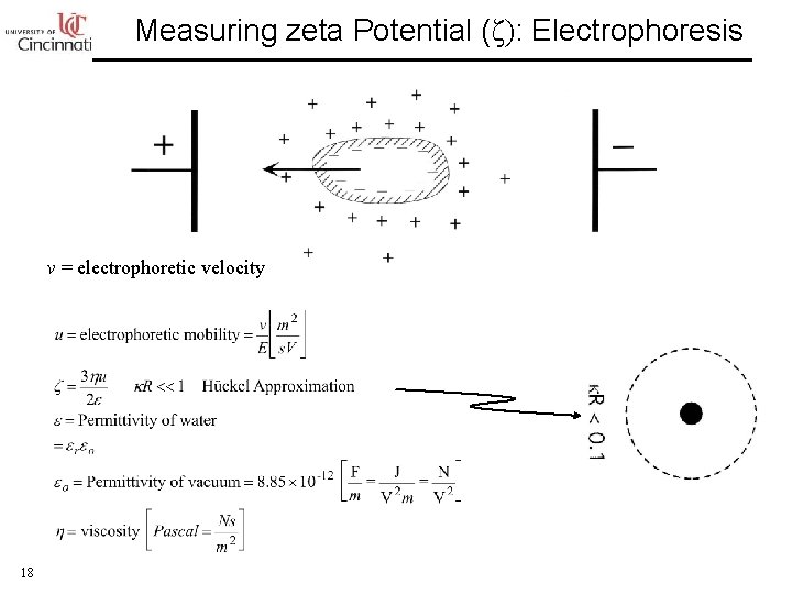 Measuring zeta Potential (ζ): Electrophoresis v = electrophoretic velocity 18 