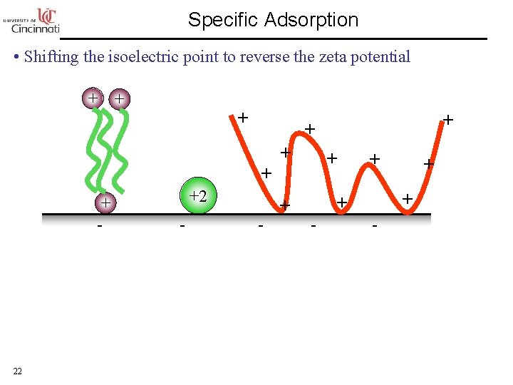 Specific Adsorption • Shifting the isoelectric point to reverse the zeta potential + +
