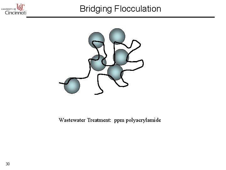 Bridging Flocculation Wastewater Treatment: ppm polyacrylamide 30 