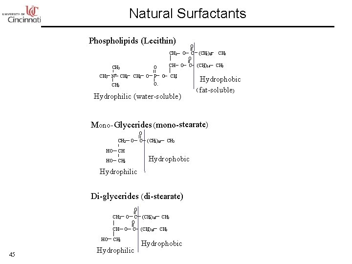 Natural Surfactants Phospholipids (Lecithin) CH 3 N+ O CH 2 O C (CH 2