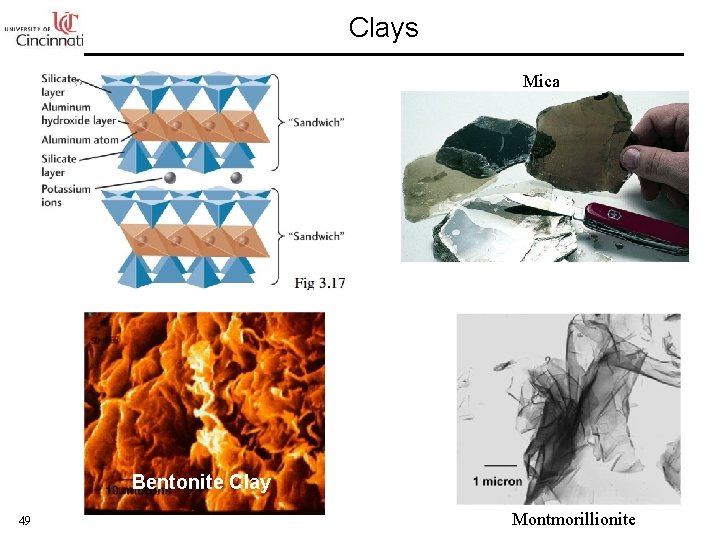Clays Mica Bentonite Clay 49 Montmorillionite 