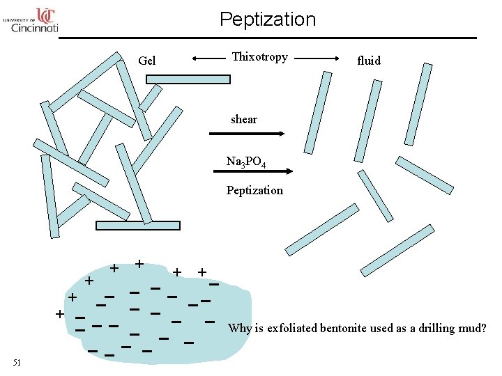 Peptization Gel Thixotropy fluid shear Na 3 PO 4 Peptization + +_ + _