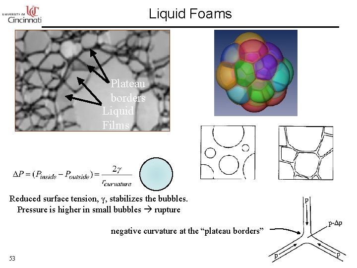 Liquid Foams Plateau borders Liquid Films Reduced surface tension, γ, stabilizes the bubbles. Pressure