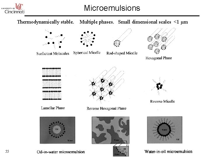 Microemulsions Thermodynamically stable. 55 Multiple phases. Small dimensional scales <1 µm 