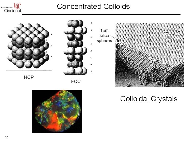 Concentrated Colloids Colloidal Crystals 58 