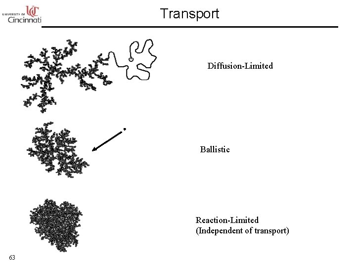 Transport Diffusion-Limited Ballistic Reaction-Limited (Independent of transport) 63 