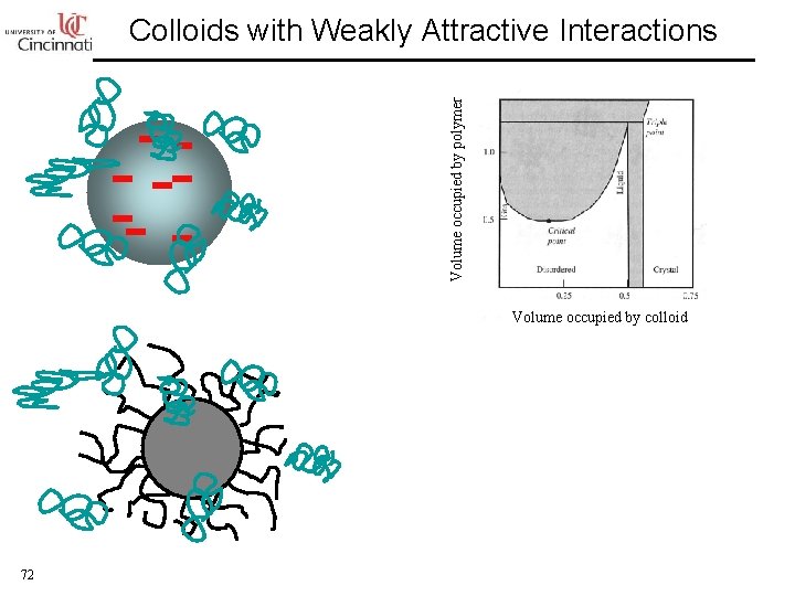 Volume occupied by polymer Colloids with Weakly Attractive Interactions Volume occupied by colloid 72