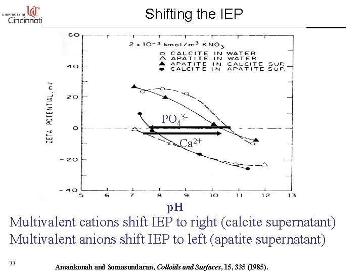 Shifting the IEP PO 43 Ca 2+ p. H Multivalent cations shift IEP to