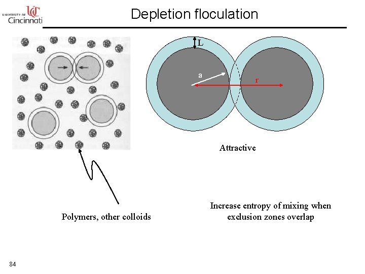 Depletion floculation L a r Attractive Polymers, other colloids 84 Increase entropy of mixing