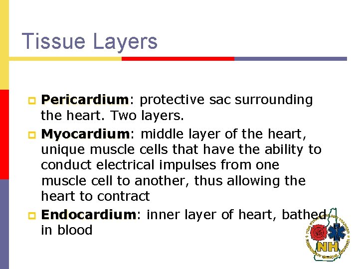 Tissue Layers p p p Pericardium: Pericardium protective sac surrounding the heart. Two layers.