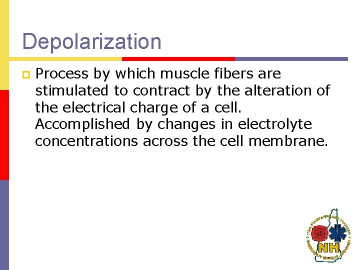 Depolarization p Process by which muscle fibers are stimulated to contract by the alteration