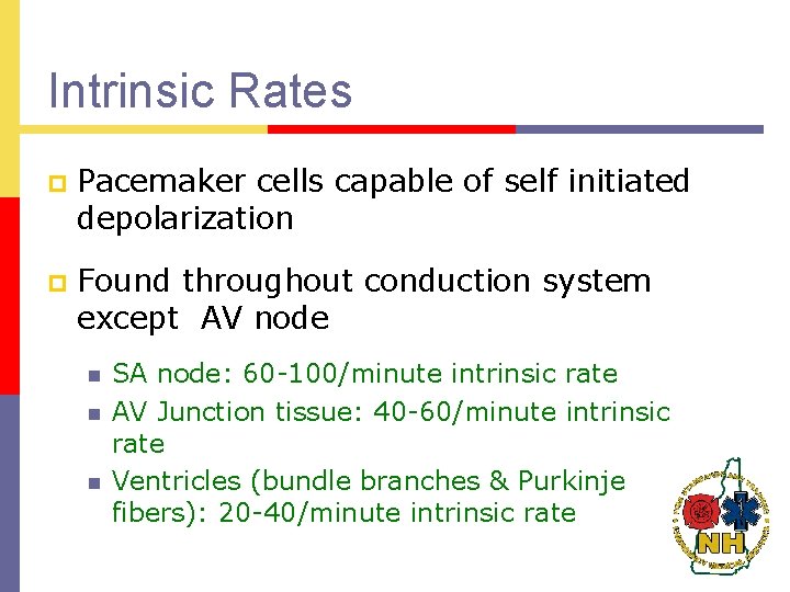 Intrinsic Rates p Pacemaker cells capable of self initiated depolarization p Found throughout conduction