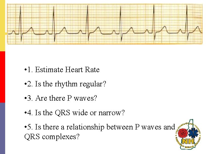  • 1. Estimate Heart Rate • 2. Is the rhythm regular? • 3.