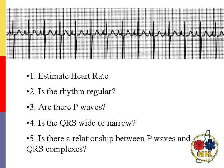  • 1. Estimate Heart Rate • 2. Is the rhythm regular? • 3.