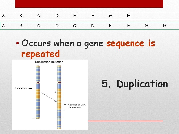 A B C D E F G H • Occurs when a gene sequence