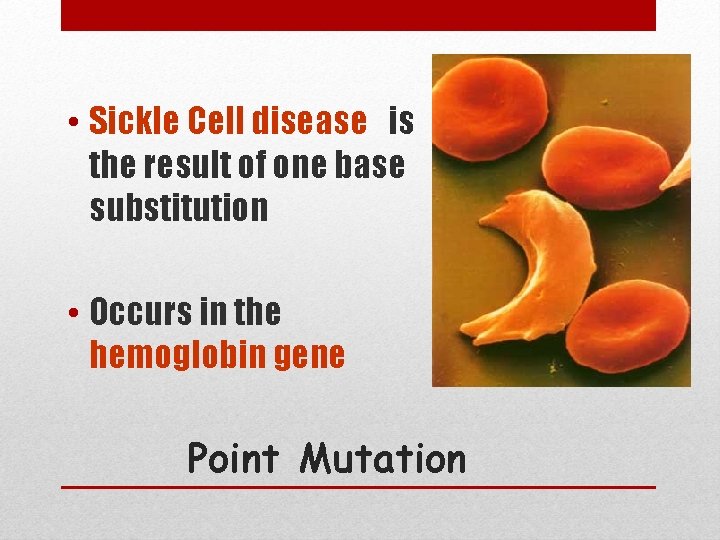  • Sickle Cell disease is the result of one base substitution • Occurs